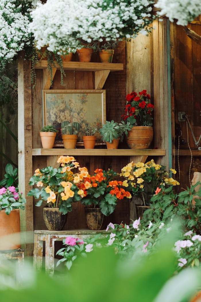 Rustic garden shed decorated with vibrant pots of flowers in a tranquil setting.